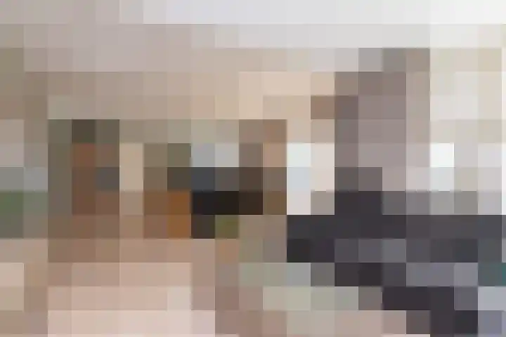 Geerling 19 Bovenkarspel thumbnail 20