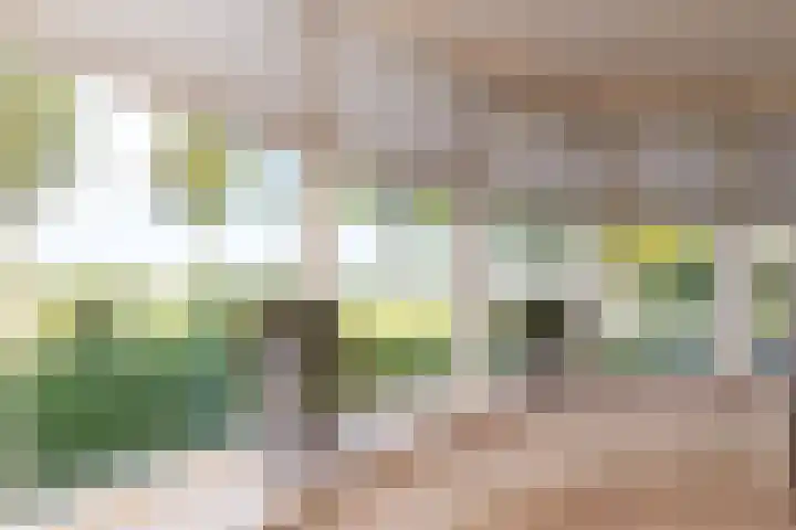 Geerling 19 Bovenkarspel thumbnail 27