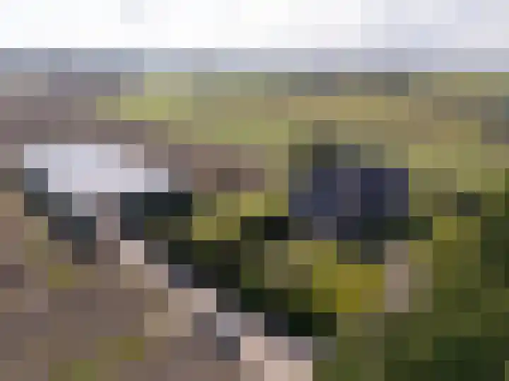 Geerling 19 Bovenkarspel thumbnail 4