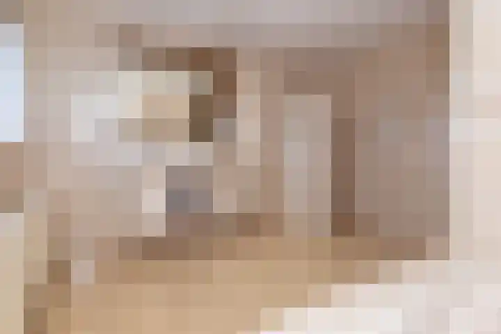 Geerling 19 Bovenkarspel thumbnail 43