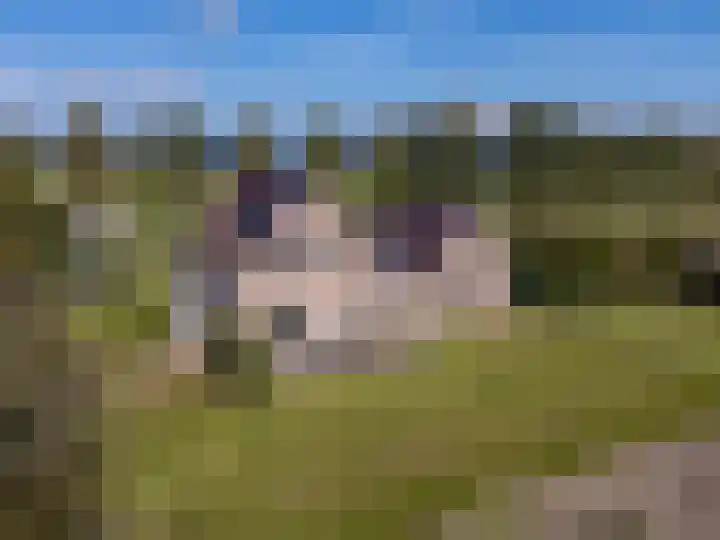 Geerling 19 Bovenkarspel thumbnail 48