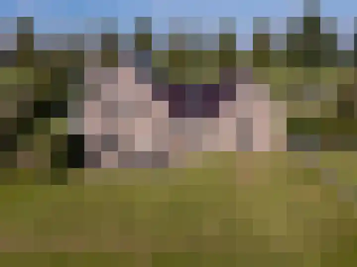 Geerling 19 Bovenkarspel thumbnail 49