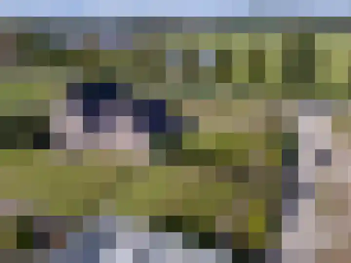 Geerling 19 Bovenkarspel thumbnail 5