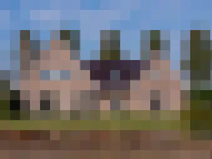 Geerling 19 Bovenkarspel thumbnail 51