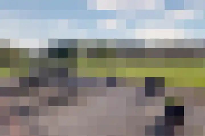 Geerling 19 Bovenkarspel thumbnail 53