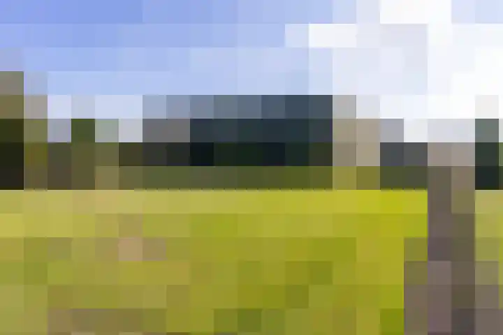 Geerling 19 Bovenkarspel thumbnail 55
