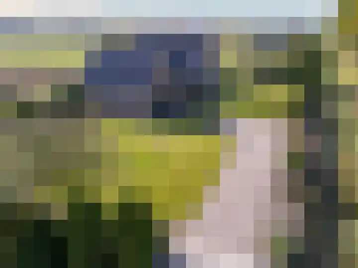 Geerling 19 Bovenkarspel thumbnail 6