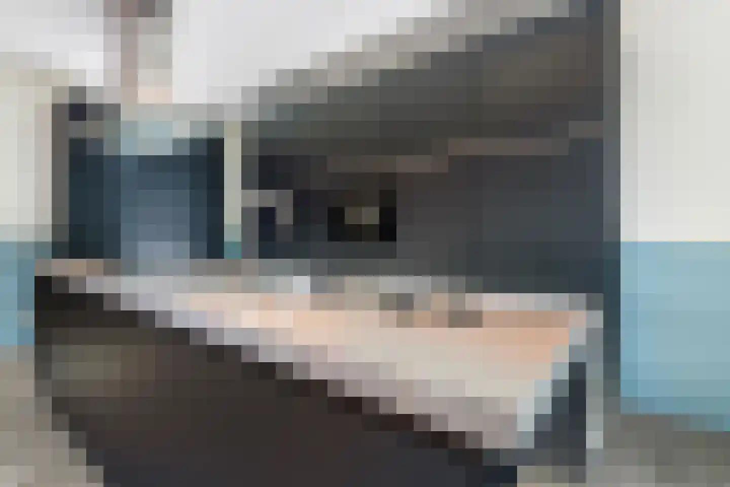 Geerlinglaan 10 Heerlen thumbnail 15