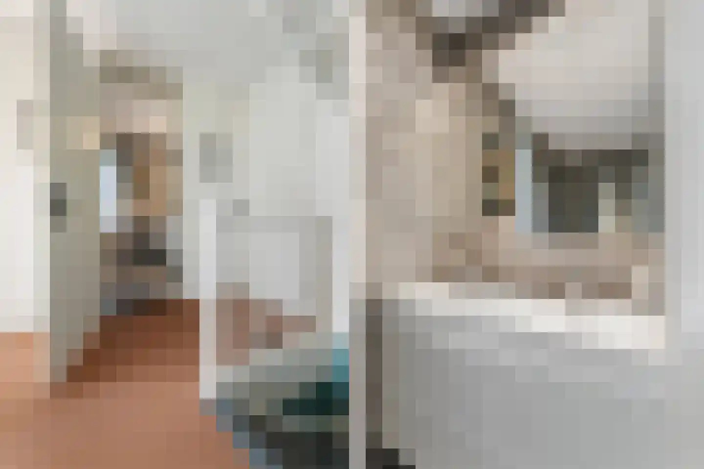 Geerlinglaan 10 Heerlen thumbnail 17