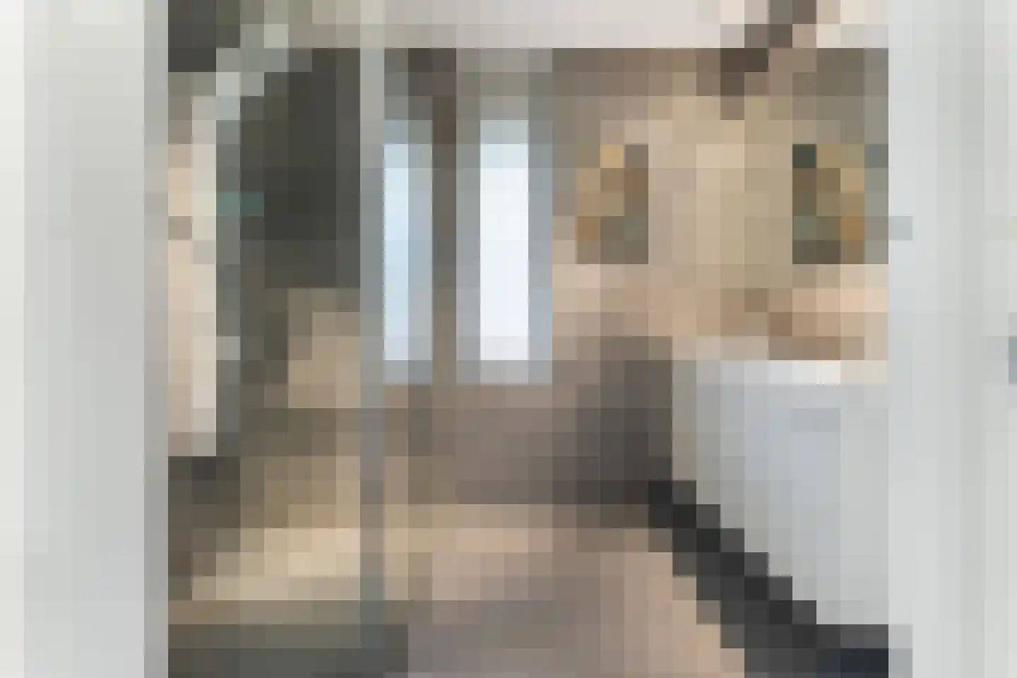 Geerlinglaan 10 Heerlen thumbnail 23