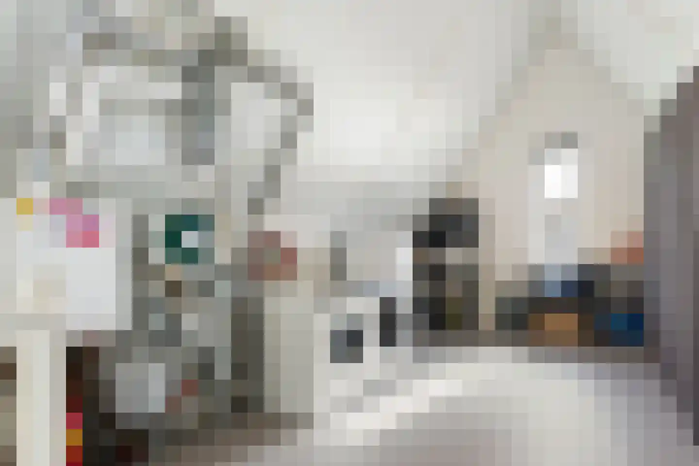 Geerlinglaan 10 Heerlen thumbnail 26