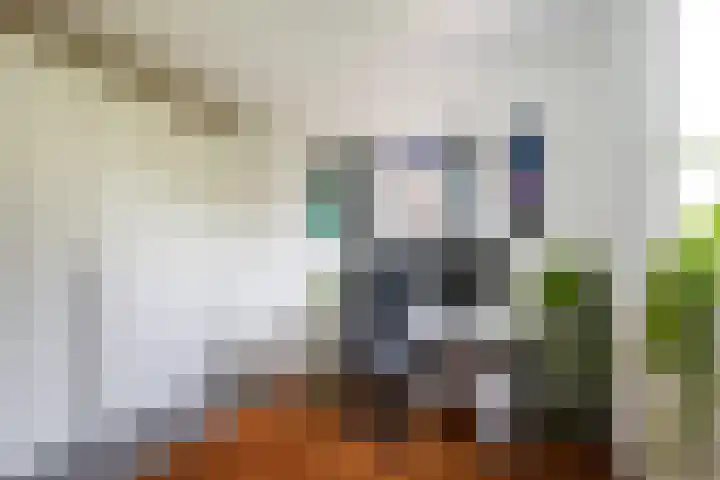Geerlinglaan 15 Heerlen thumbnail 10