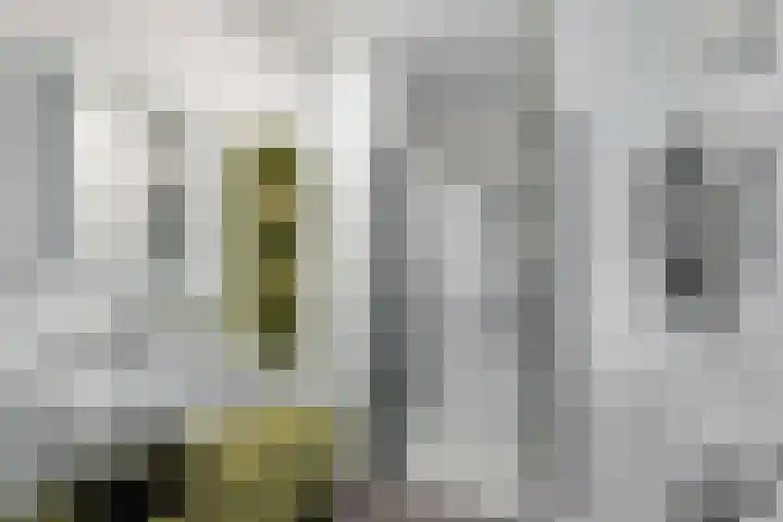 Geerlinglaan 15 Heerlen thumbnail 12