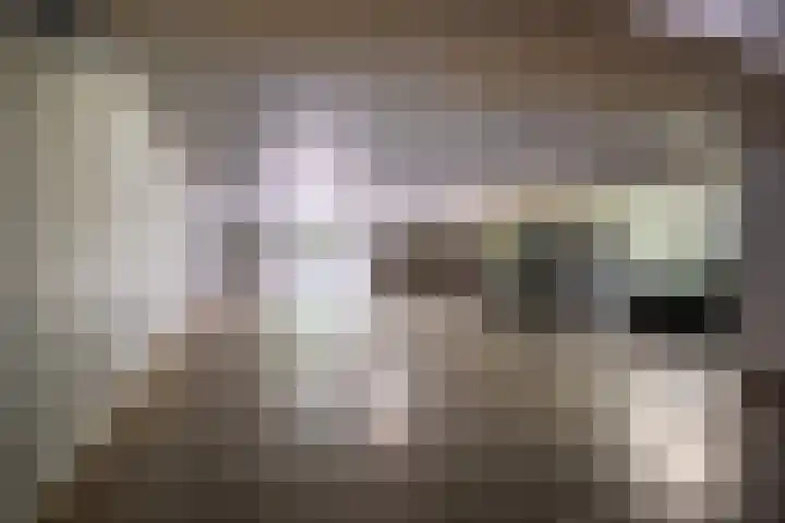 Geerlinglaan 15 Heerlen thumbnail 16