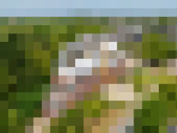 Geerlinglaan 15 Heerlen thumbnail 20