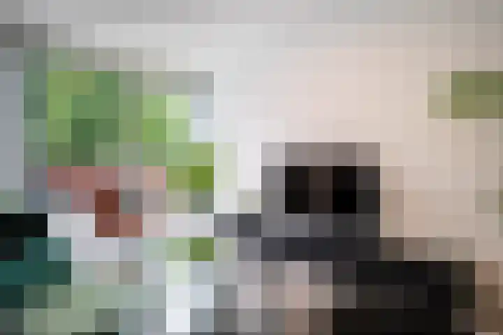 Geerlinglaan 15 Heerlen thumbnail 4
