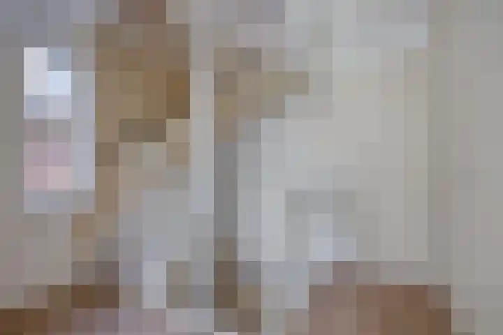 Geerlinglaan 20 Heerlen thumbnail 11