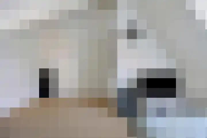 Geerlinglaan 20 Heerlen thumbnail 21