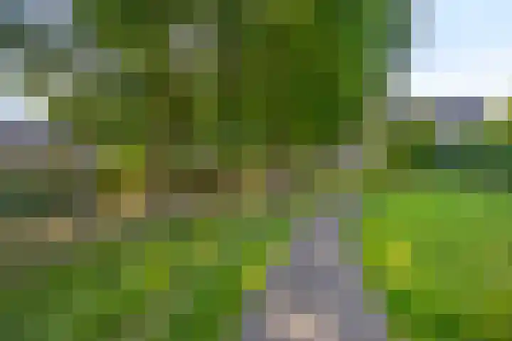Geerlinglaan 20 Heerlen thumbnail 28