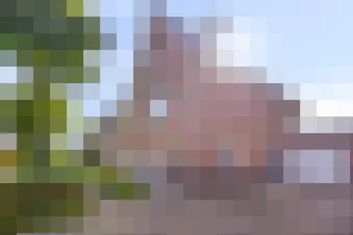 Geerlinglaan 20 Heerlen thumbnail 30