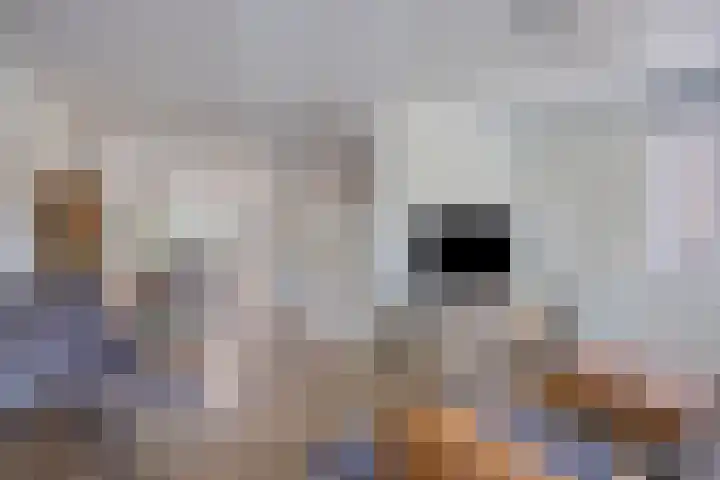 Geerlinglaan 20 Heerlen thumbnail 5
