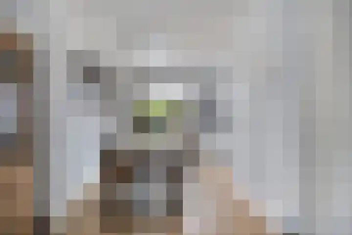 Geerlinglaan 20 Heerlen thumbnail 6