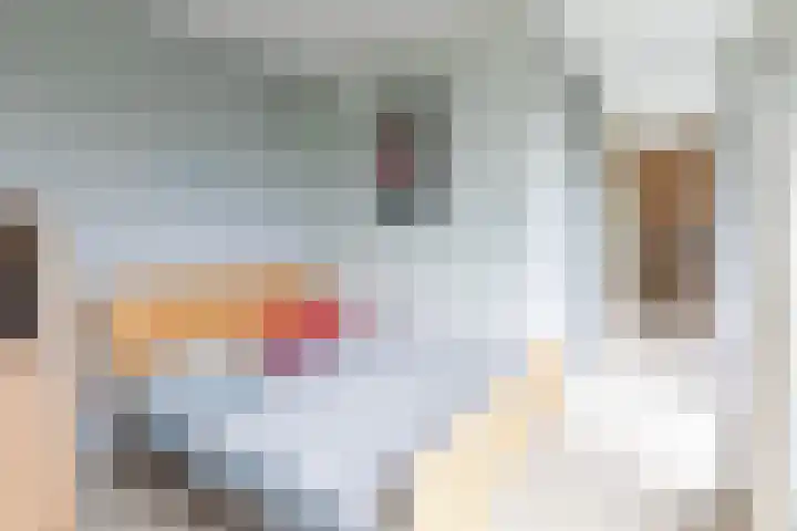 Geerlinglaan 21 Heerlen thumbnail 13