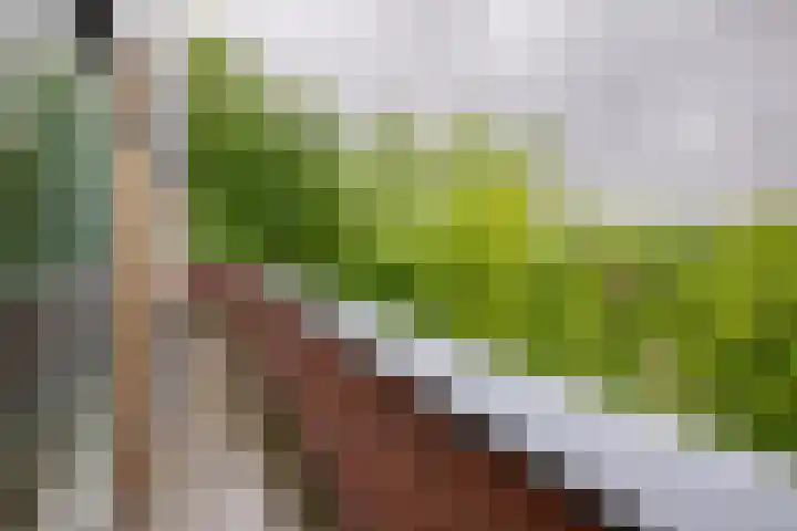 Geerlinglaan 21 Heerlen thumbnail 14