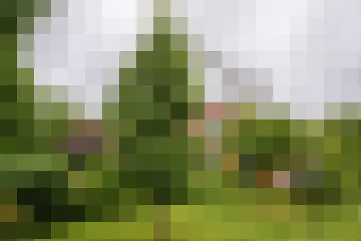 Geerlinglaan 21 Heerlen thumbnail 17