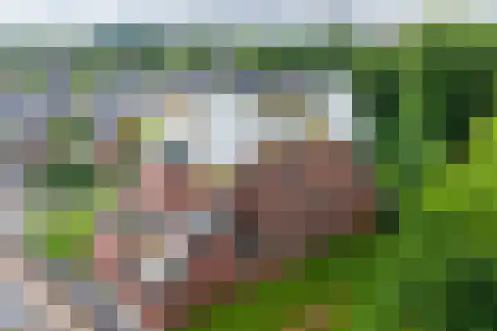 Geerlinglaan 21 Heerlen thumbnail 20