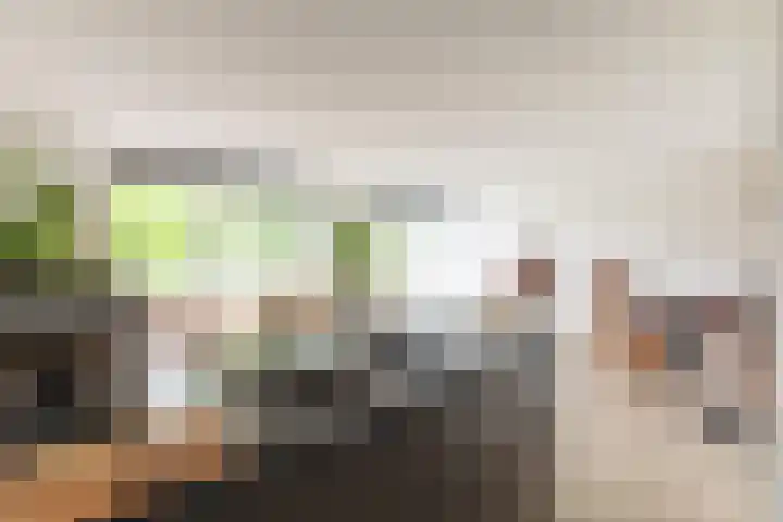 Geerlinglaan 21 Heerlen thumbnail 8