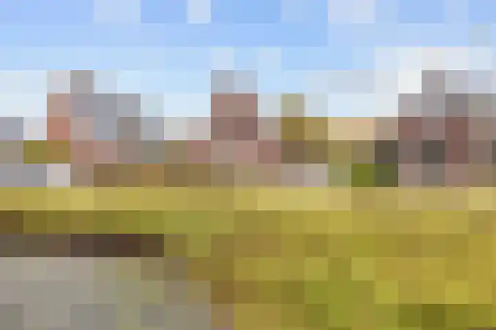 Geermaar 9 Siddeburen thumbnail 11