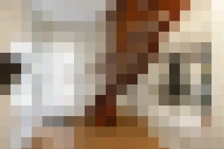 Geermaar 9 Siddeburen thumbnail 16