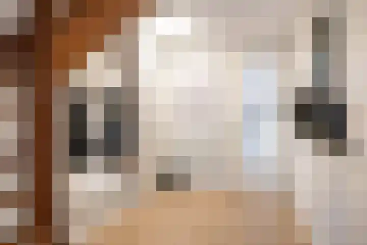 Geermaar 9 Siddeburen thumbnail 17