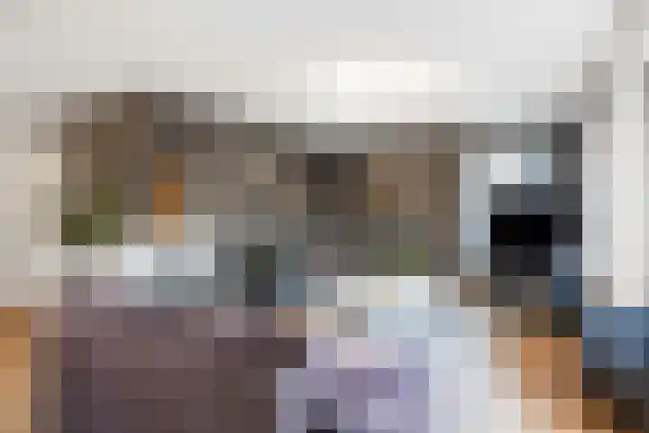 Geermaar 9 Siddeburen thumbnail 23