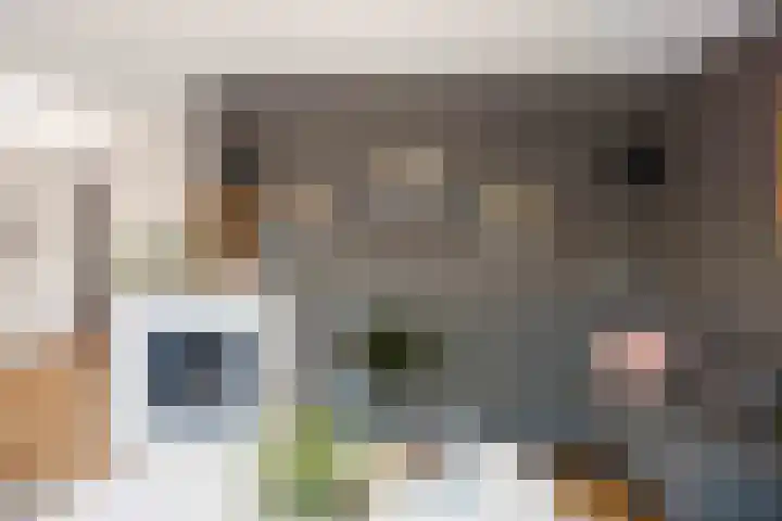 Geermaar 9 Siddeburen thumbnail 25