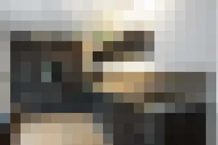 Geermaar 9 Siddeburen thumbnail 33