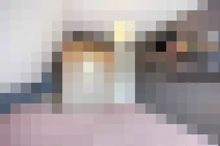 Geermaar 9 Siddeburen thumbnail 44