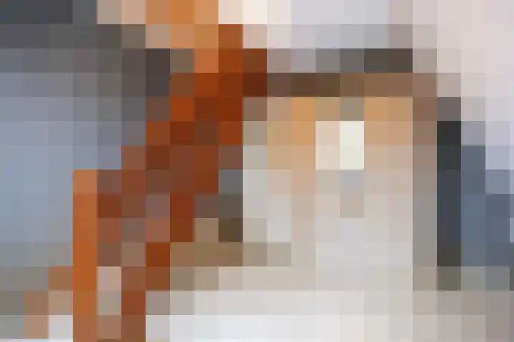 Geermaar 9 Siddeburen thumbnail 48
