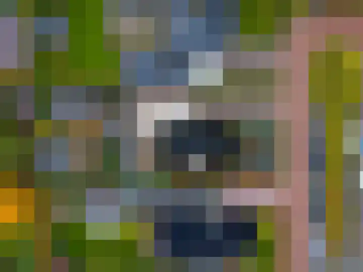 Geermaar 9 Siddeburen thumbnail 5