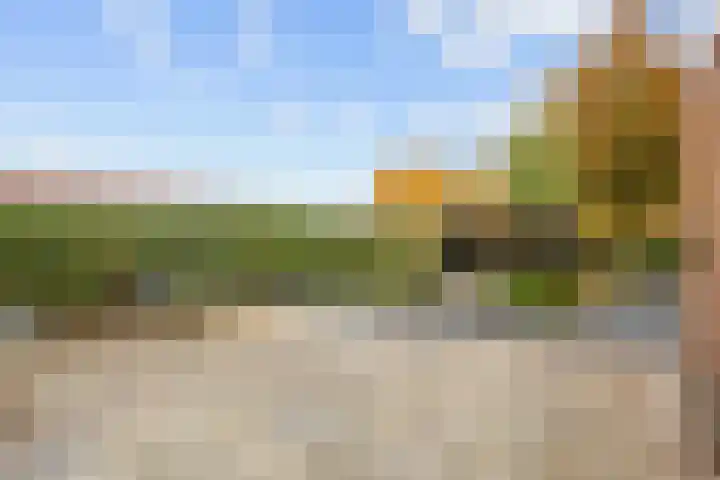 Geermaar 9 Siddeburen thumbnail 55