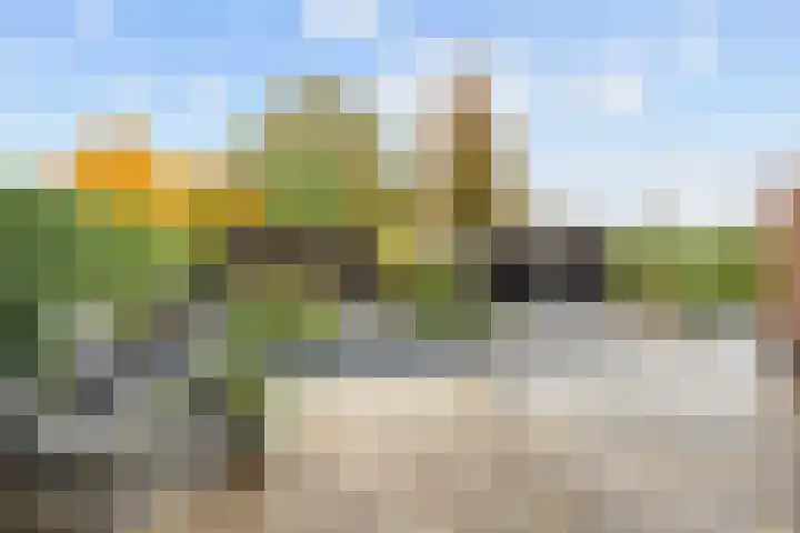 Geermaar 9 Siddeburen thumbnail 56