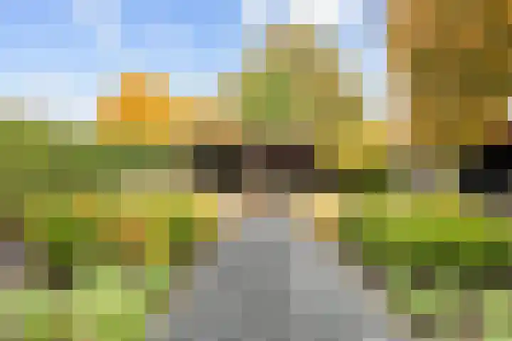 Geermaar 9 Siddeburen thumbnail 57