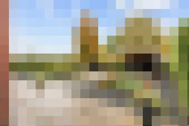Geermaar 9 Siddeburen thumbnail 58