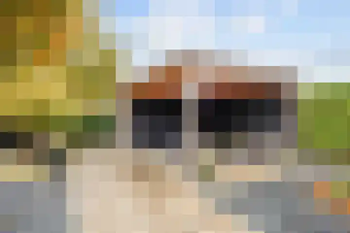 Geermaar 9 Siddeburen thumbnail 59