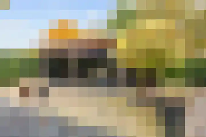 Geermaar 9 Siddeburen thumbnail 60