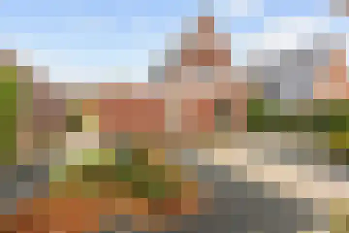 Geermaar 9 Siddeburen thumbnail 62