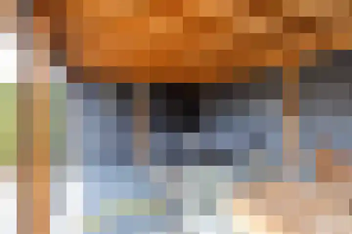 Geermaar 9 Siddeburen thumbnail 64