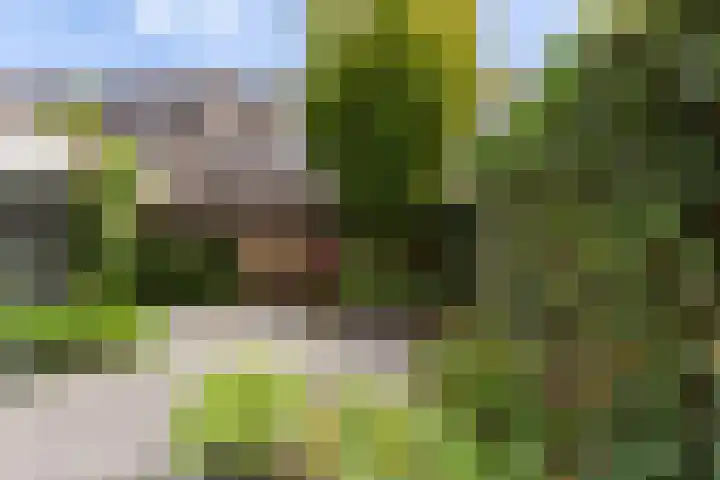 Geerpolderweg 14 Gouda thumbnail 17