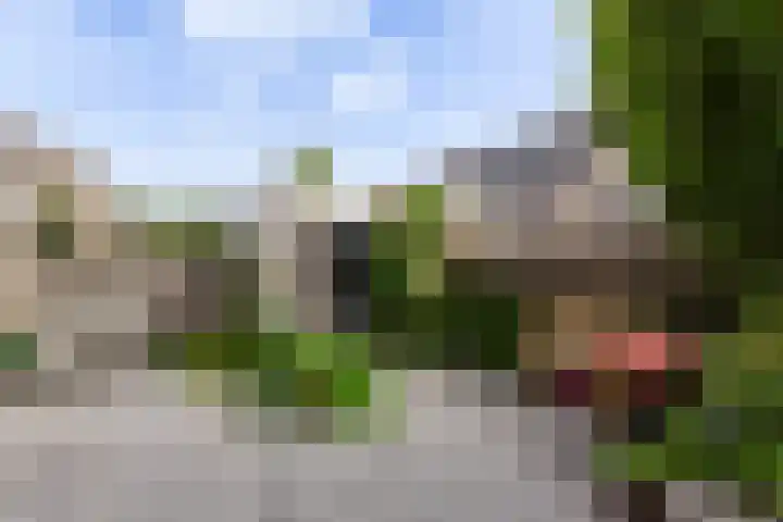 Geerpolderweg 14 Gouda thumbnail 18
